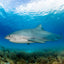 Tiger Shark Portrait - Tiger Beach, Bahamas