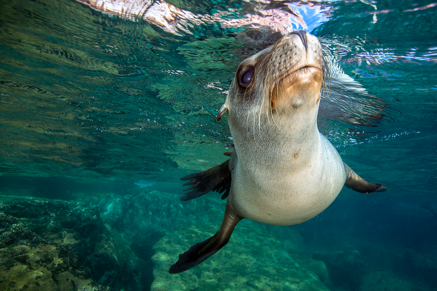 Check Me Out - La Paz, Mexico