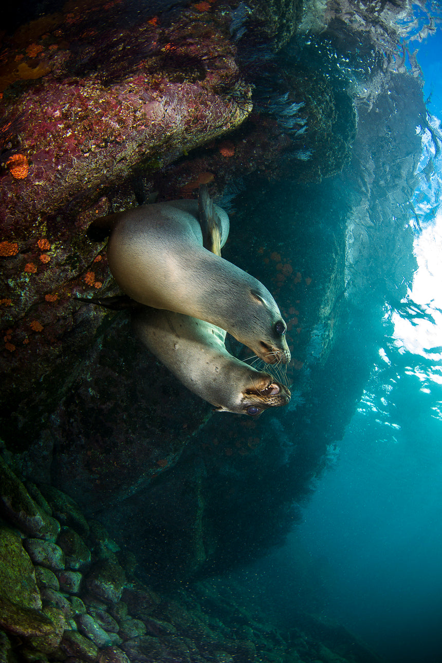 Lovers Rock - La Paz, Mexico