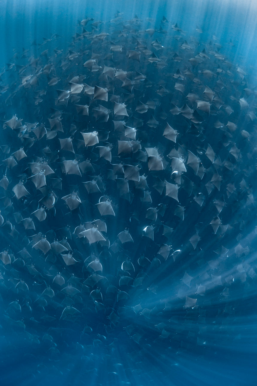 Copy of Rays of Light Color- Baja, Mexico