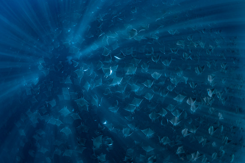 Surrounded by Rays Color - Baja, Mexico