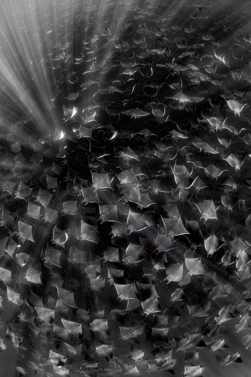 Around the Lights B&W - Baja, Mexico