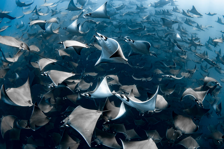 Follow Us - Baja, Mexico