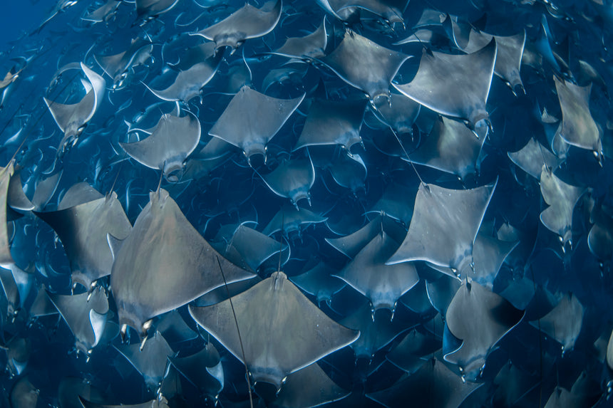 Tunnel Vision Color - Baja, Mexico