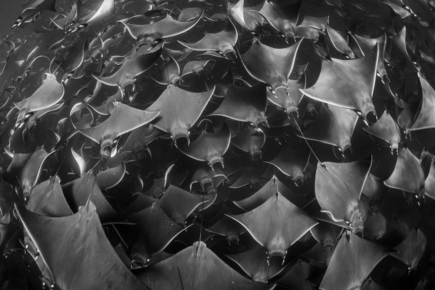 Tunnel Vision ll B&W - Baja, Mexico