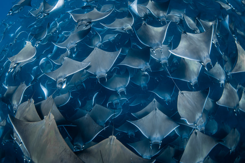 Tunnel Vision ll Color - Baja, Mexico