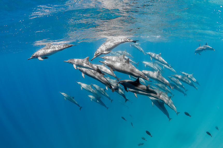 Together - Port Sudan